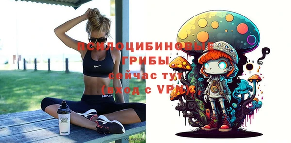 спиды Карпинск