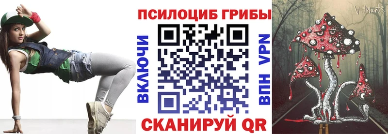 Купить  Стародуб  Галлюциногенные грибы Psilocybine cubensis 